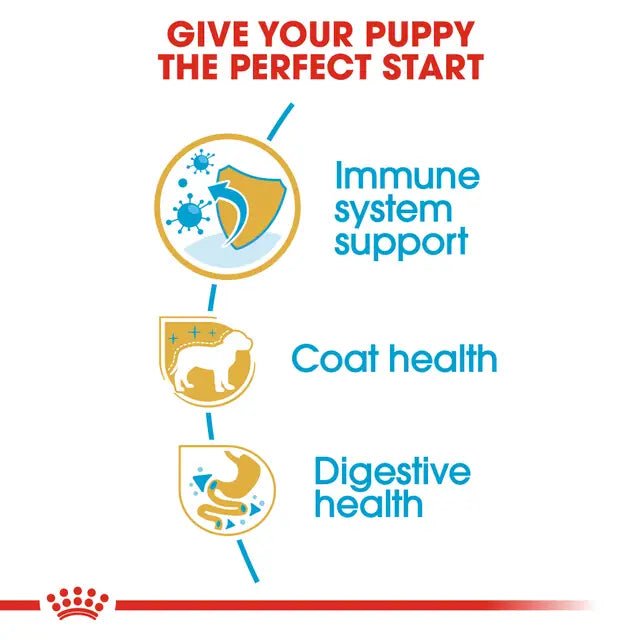 Royal Canin Poodle Puppy Dry Dog Food – 3kg - Pet Supply